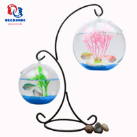 Bể cá mini để bàn treo mini chữ X
