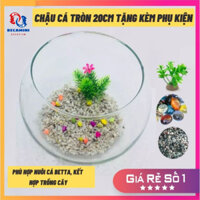 Bể cá mini để bàn tròn T11