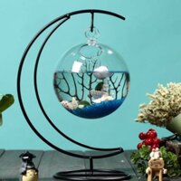 Bể cá mini để bàn