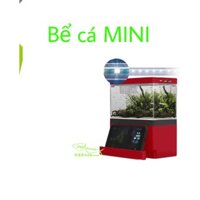 Bể cá Mini để bàn