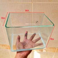 Bể Cá Mini Đúc uốn cong kích thước 18x12x15cm để bàn làm việc phù hợp nuôi cá 7 màu cá betta