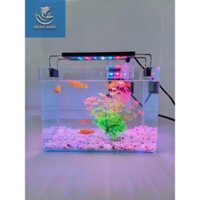 Bể cá mini Đúc uốn cong 35x21x23 và 40x23x25cm để bàn Với nhiều mẫu lựa chọn có kèm phụ kiện sỏi nền và cây nhựa