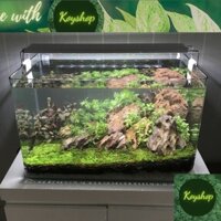 Bể Cá Mini -Hồ Kính Đúc Uốn cong 2 góc Kích thước: 35x 20 x 23m kèm bộ phụ kiện trang trí siêu đẹp theo layout lựa chọn