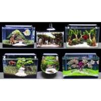 Bể Cá Mini -Hồ Kính Đúc Uốn cong 2 góc Kích thước: 45*28*30cm kèm bộ 10 phụ kiện trang trí