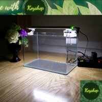 Bể Cá Mini -Hồ Kính Đúc Uốn cong 2 góc Kích thước: 40*23*25cm kèm bộ phụ kiện trang trí. -