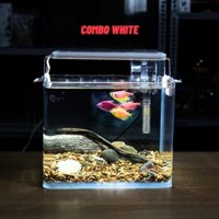 Bể Cá Mini KÍNH SIÊU TRONG Uốn 2 Cạnh Trước Kích Thước Từ 20cm đến 40cm