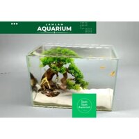 Bể Cá Mini - Trọn bộ Hồ Kính 35CM Đúc Uốn cong 2 cạnh phong cách Bonsai mini, Đủ bộ phụ kiện.