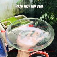 Bể cá mini tròn để bàn BS01 19x25x8cm trồng cây thủy sinh