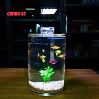 Bể cá mini tròn để bàn D20-H30cm chọn theo combo nhiều mẫu kèm phụ kiện