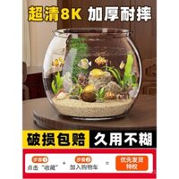 Bể cá mini trong suốt giả thủy tinh nhựa mới cho phòng khách, nhỏ, dày, tròn, cảnh quan sinh thái cho cá betta