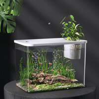 Bể cá phòng khách mini bể cá gia đình lớn nhỏ trong suốt bể cá vàng bể rùa có nắp bể cảnh quan
