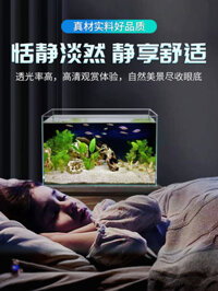 Bể cá, phòng khách nhỏ, bể kính, bể cá nhỏ, bể nước sinh thái, bể cá betta, bể sinh thái cua siêu t