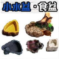 Bể Cá Rùa Cảnh Quan Rùa Lưu Vực Nước Bò Sát Đồ Uống Rùa Uống Đài Phun Nước Thằn Lằn Cung Cấp Lớn