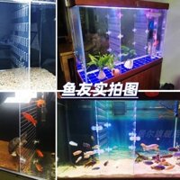 Bể Cá Tách Ban Phân Vùng Acrylic Trong Suốt Ban Vách Ngăn Bao Bể Cá Tách Ban Phân Vùng Lưới Cách Ly
