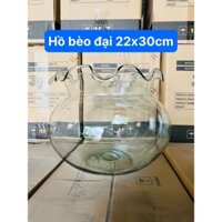 Bể Cá Thủy Tinh Mini Miệng Bèo