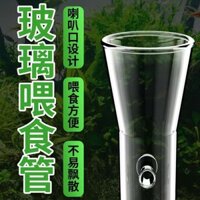 Bể Cá Thủy Tinh Pha Lê Ống Cho Ăn Tôm Cảnh Trong Suốt