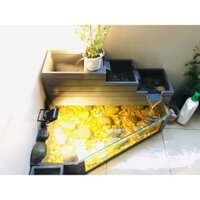 bể cá tiểu cảnh size nhỏ 70 - 80cm