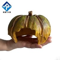 Bể cá trang trí bể cá cảnh quan để thu hút sự giàu có bí ngô dứa nhà thanh long sầu riêng cà rốt bò