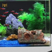 Bể Cá Trang Trí Cây Stump Nhánh Hang Đá Nhà Cảnh Quan Tượng Rỗng
