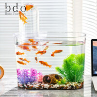 Bể cá treo máy tính để bàn sáng tạo cho cá nhỏ với thiết kế áp suất âm