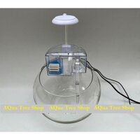 Bế cá tròn mini bằng nhựa rơi không vỡ, không sước, siêu trong, siêu đẹp, siêu bền