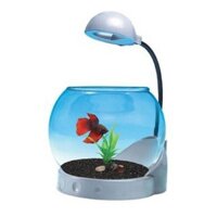 BỂ CÁ TRÒN MINI JENECA TG-01 VÀ TG-02