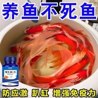 Bể Cá Vitamin C Ứng Dụng Cá Jibao Cá Cô Đặc Rùa Miễn Dịch Cá Bể Cá Ao Chuyên Dụng VC Viên