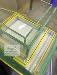 Bể cubic 20cm siêu trong