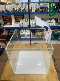 Bể cubic 25x25x25cm