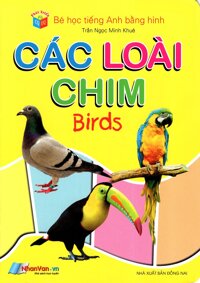 Bé Học Tiếng Anh Bằng Hình Các Loài Chim