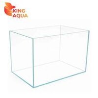 Bể kính (30x20x25cm, kính VIệt Nhật full 5ly, mài xiết cạnh vi tính)