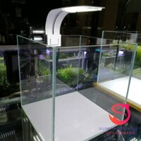 Bể kính cubic 30 siêu trong