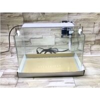 Bể kính đúc nhập khẩu bo cong cạnh mài vi tính kích thước 35*20*23cm | hồ đúc | bể kính nuôi cá