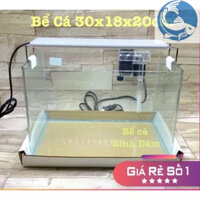 Bể kính đúc nhập khẩu bo cong cạnh mài vi tính kích thước 30*17*20cm | hồ đúc | bể kính nuôi cá