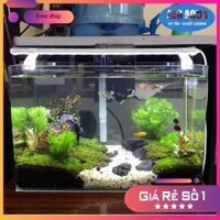 Bể kính đúc uốn cong 50x26x30cm (dàixrộngxcao) kính 5mm GIAO TOÀN QUỐC