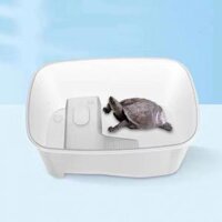 Bể Mini Dạng Hộp Dễ Dàng Thay Nước Cho Rùa Bằng Nhựa Bền Bỉ, Hồ Nhỏ Nuôi Rùa, Hộp Nuôi Lưỡng Cư Đa Kích Thước Đa Màu Sắc