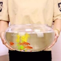 Bể nuôi cá thủy tinh miệng siêu rộng dung tích 4.5 lít MRĐ