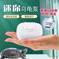 Bể rùa mực nước thấp Bộ lọc tích hợp bể cá vàng Máy bơm chìm tuần hoàn cung cấp thiết bị để hấp thụ