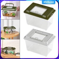 Bể Rùa Nhà Bể Đa Năng Di Động Nhỏ Mang Theo Rùa