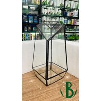 Bể terarium 4 cạnh (24x12x12cm), bể bán cạn