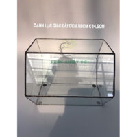 Bể Terrarium Đa Giác D-05