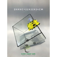 Bể Terrarium Đa Giác D-06