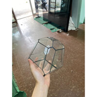 Bể Terrarium mini