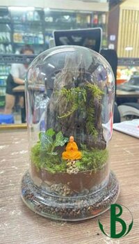 Bể tiểu cảnh thủy tinh- Chuông lớn(16x22cm)