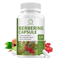 Beau Berberine Capsule 1500mg Tăng cường khả năng miễn dịch, Thúc đẩy cholesterol khỏe mạnh, Hỗ trợ tim mạch, chức năng miễn dịch, dành cho nam và nữ