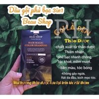 BEAU SHOP DẦU GỘI PHỦ BẠC 3 TRONG 1 (NHUỘM TÓC, DẦU GỘI, DƯỠNG TÓC)