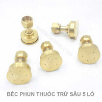 Béc phun thuốc trừ sâu 5 lổ – loại lớn
