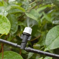 Béc tưới phun sương MT-309D 8 lit / h, Đầu phun sương Kèm phụ kiện, Tưới cây làm mát