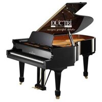 Bechstein A208