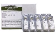 Belizolam 5 mg/5 ml (Midazolam) – Thuốc tiền mê & gây mê an toàn